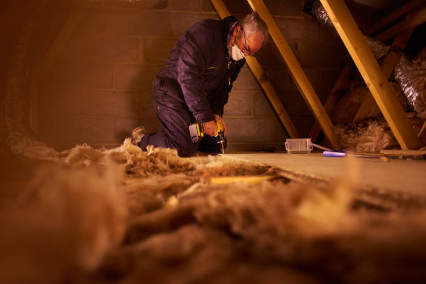 Best Attic Insulation Installation  in Mims, FL